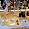迎春