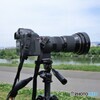 Ai Zoom-Nikkor*ED 50-300mm f4.5