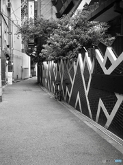 路地裏通り