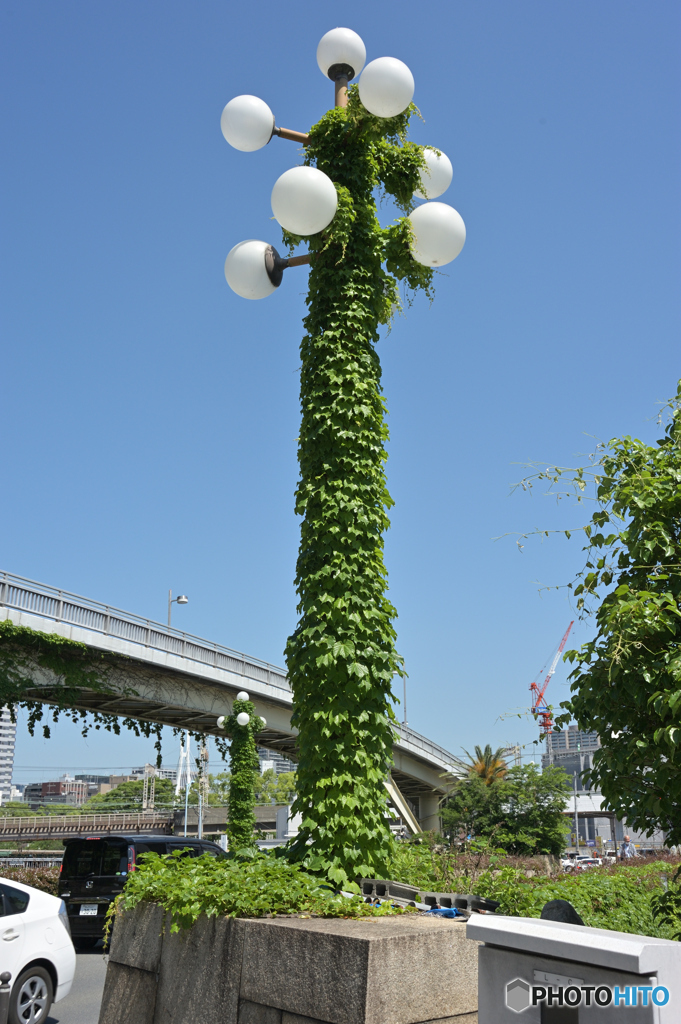 自然任せ４