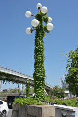 自然任せ４
