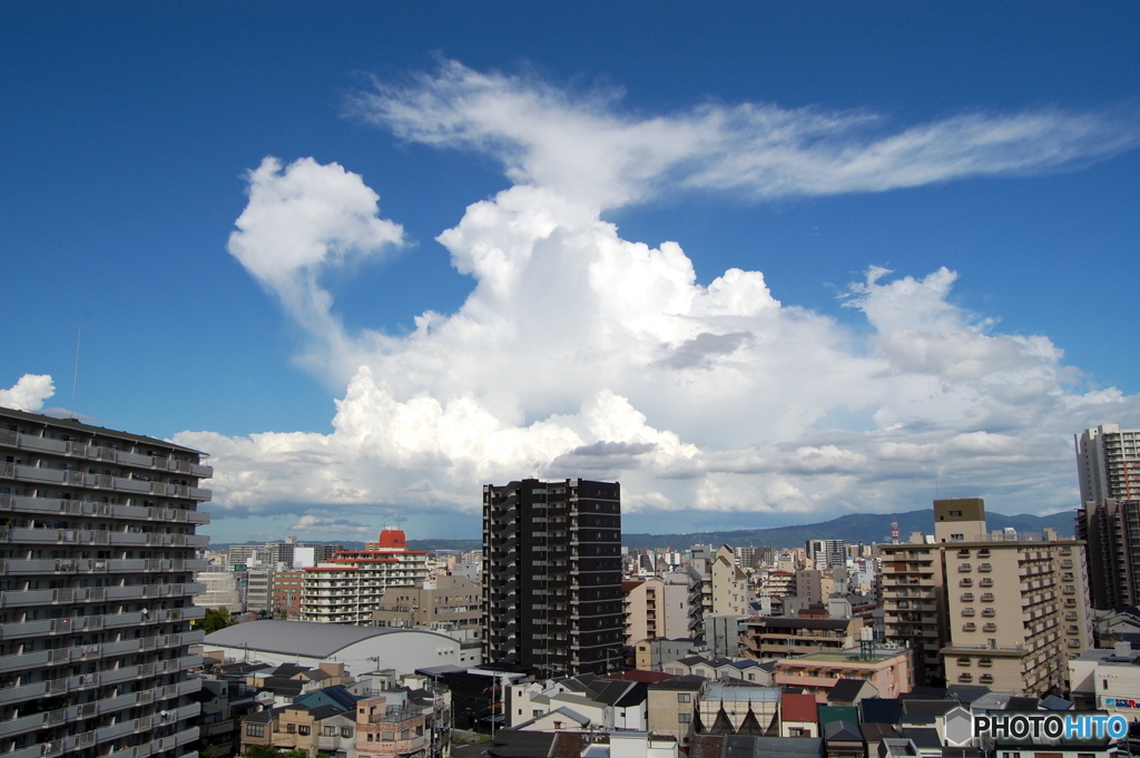 夏雲