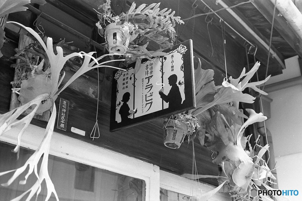 アラビク