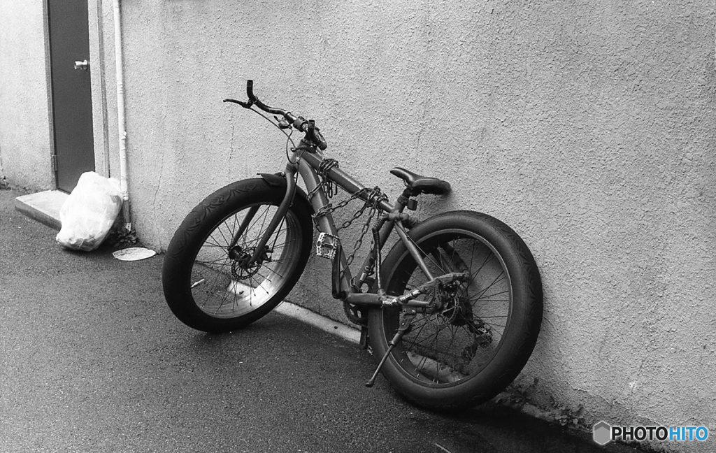 Fat Bike