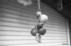 軒下ひょうたん