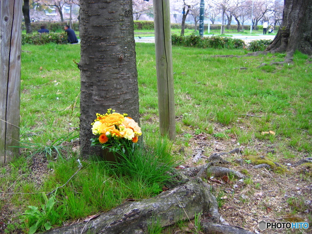 桜の木の下に