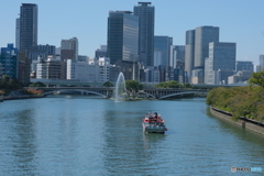 長閑な大阪　大川〜中之島公園