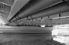 ライフラインは橋の下