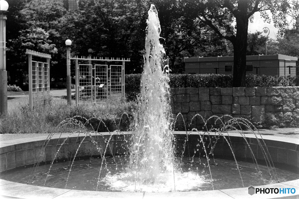 公園