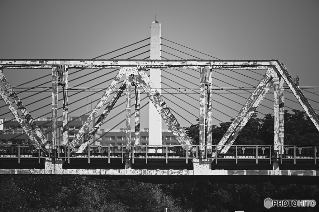 橋と橋