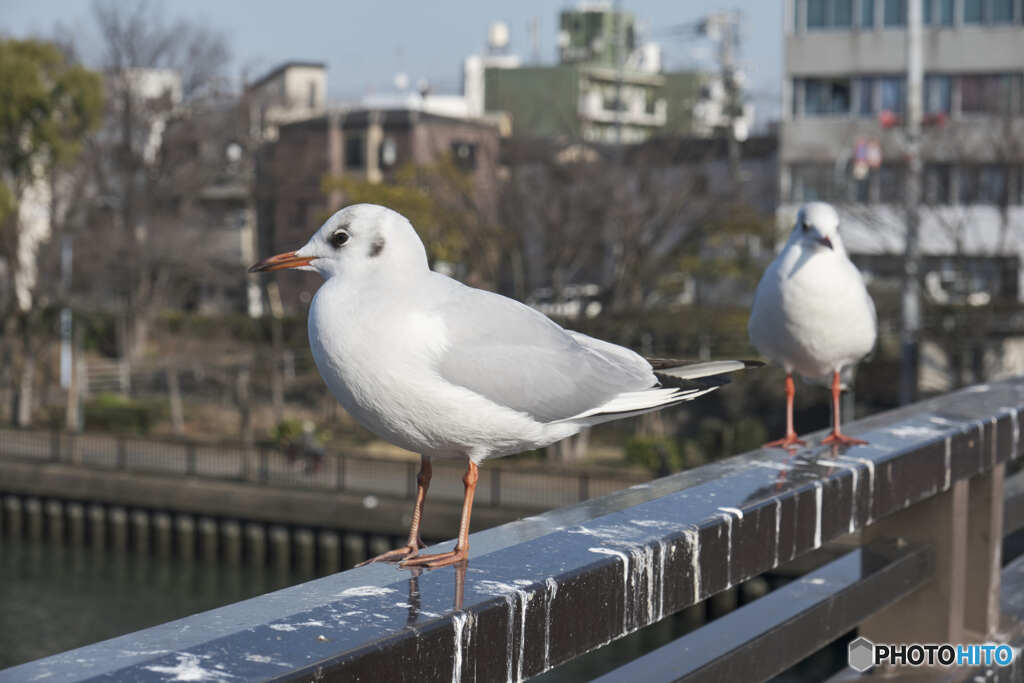 そろそろ旅立ちます、、