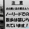ノーリード