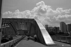 銀橋の夏