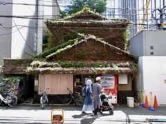 正々堂々 正々堂々