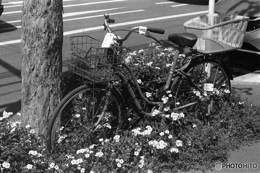 路傍の異質な光景