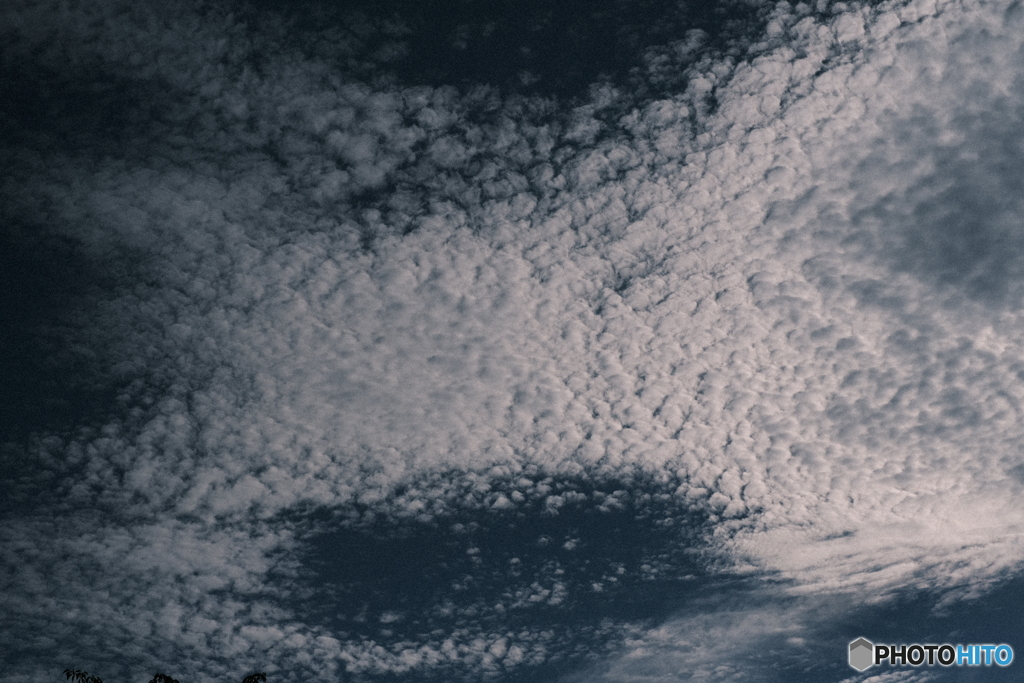 鱗～今日の空～