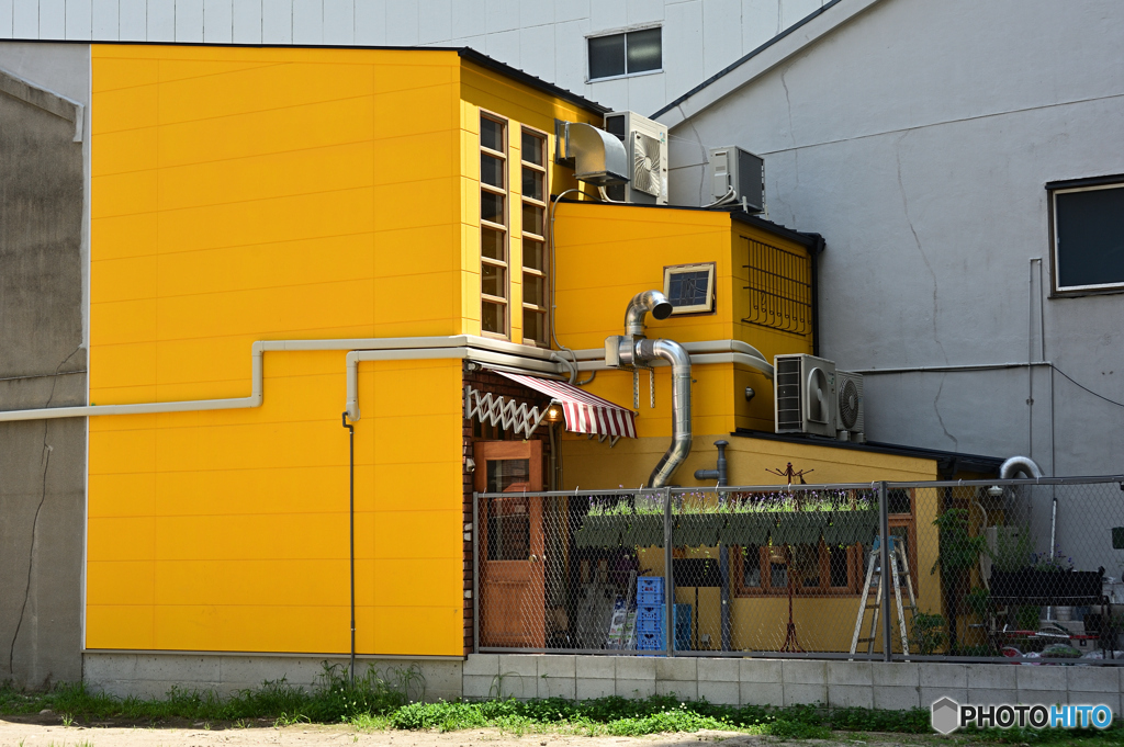 yellow 1