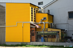 yellow 1