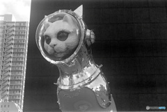 スペースキャット