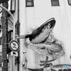 クジラが出た日