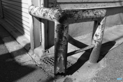 クサラセルチカラ