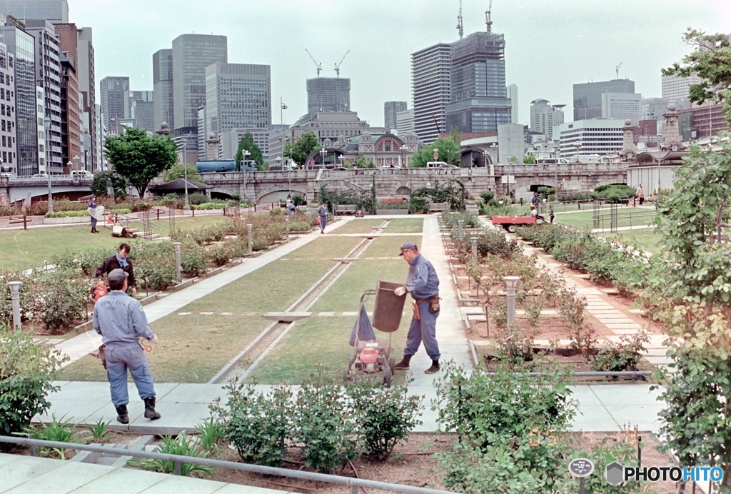 バラ園の手入れ（フィルム）