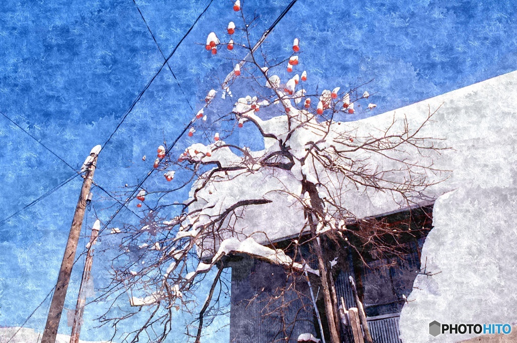 雪国の青い空２　1976/12/30