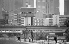 釣る、走る、歩く、押す