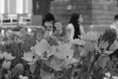 街中花壇の昼休み