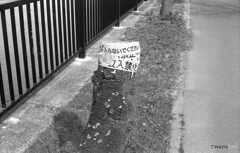 そりゃあ、不可能だ