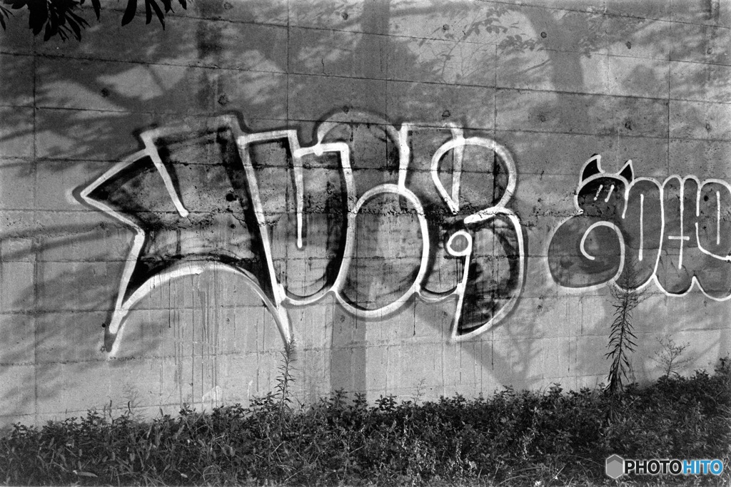 樹影１（フィルム）