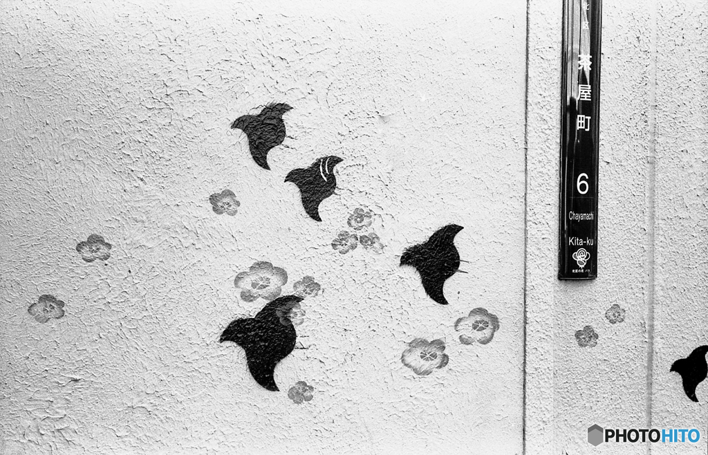 梅にウグイス、だと思う　〜茶屋町６丁目〜