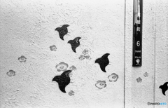 梅にウグイス、だと思う　〜茶屋町６丁目〜