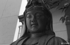 観音像