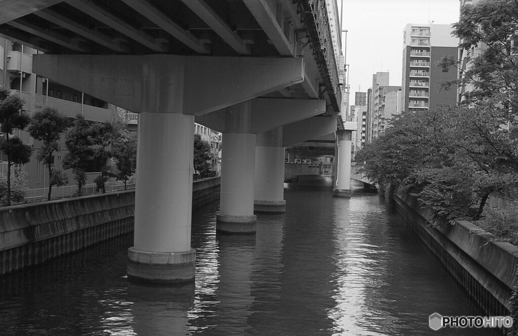 九之助橋から東横堀川