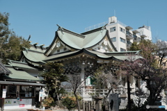 難波八坂神社