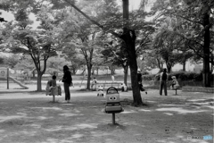 公園　昼下がり