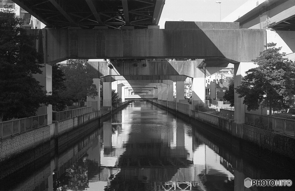 城北川（城北運河）　映り込み