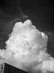 夏雲（フィルム）