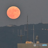 赤い十五夜お月さん