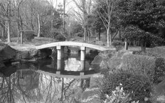 庭園の石橋