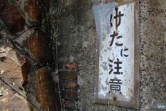 こころなし
