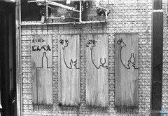 たちのみ　じんべえ