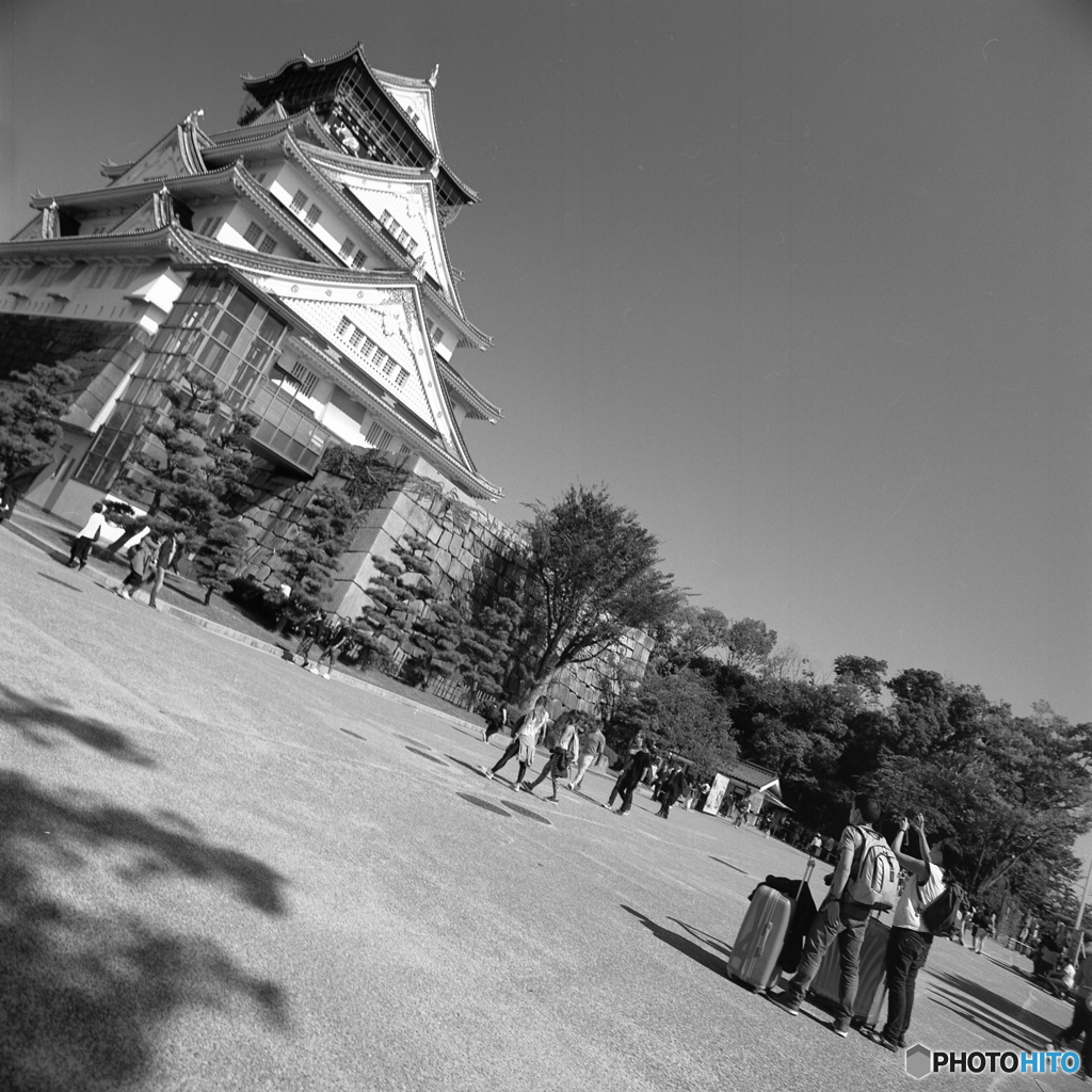 ありゃあ、押してしまった、