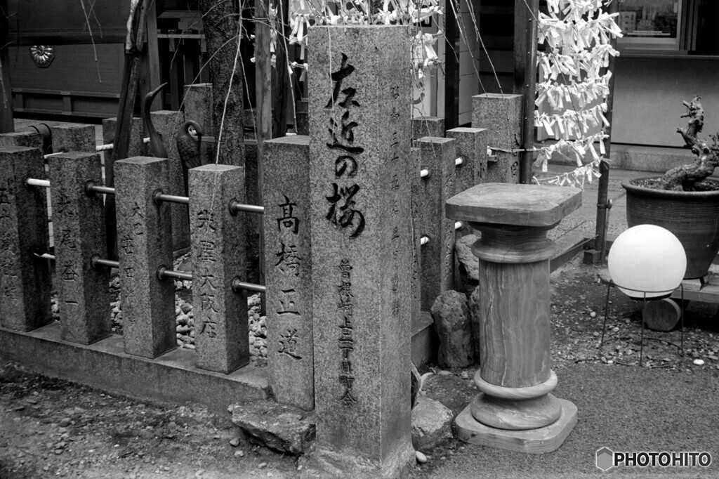 左近の橘
