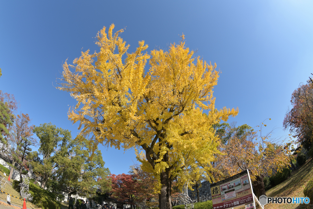 大阪城の秋〜西の丸庭園入り口〜