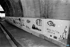 幼い表現者達　めろんりんごぐみ（フィルム）