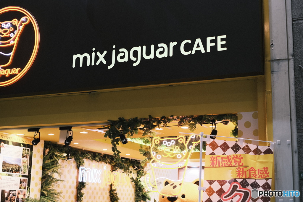 mix jaguar