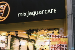 mix jaguar