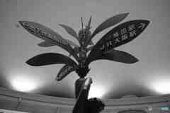 あっち、こっち、そっち